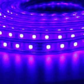10/15M SMD5050 LED RGB Flexible Rope Outdoor Waterproof Strip Light   Plug   Remote Control AC110V