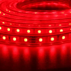 1/2/3/5M SMD5050 LED RGB Flexible Rope Outdoor Waterproof Strip Light   Plug   Remote Control AC220V
