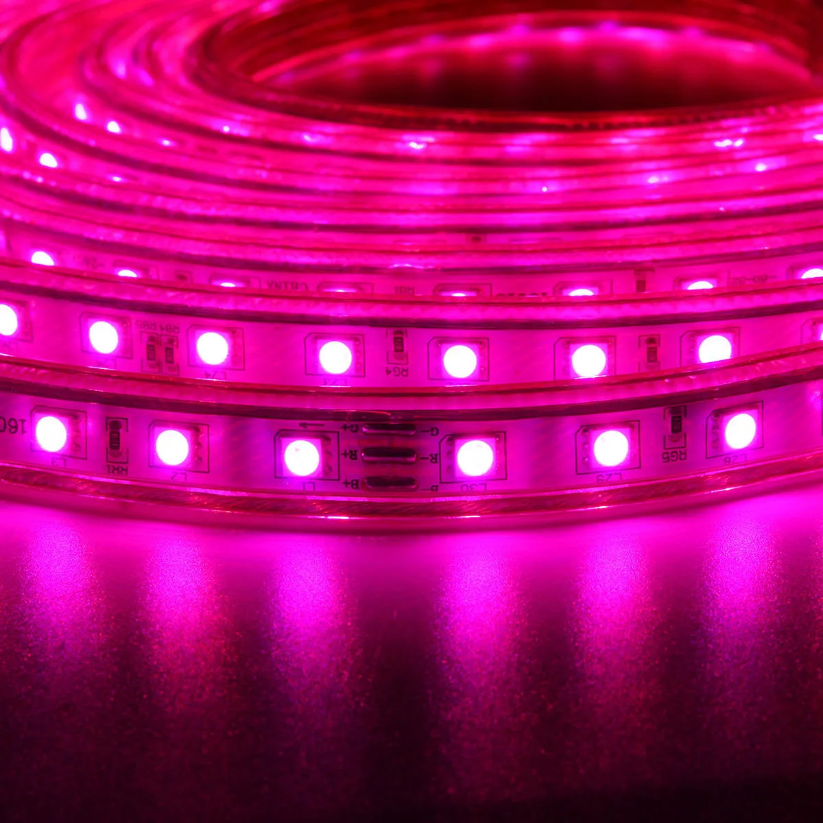 1/2/3/5M SMD5050 LED RGB Flexible Rope Outdoor Waterproof Strip Light   Plug   Remote Control AC220V