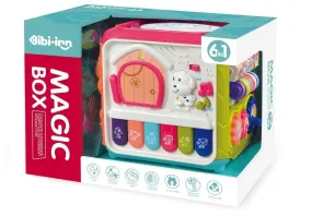 6 in 1 Activity Cube