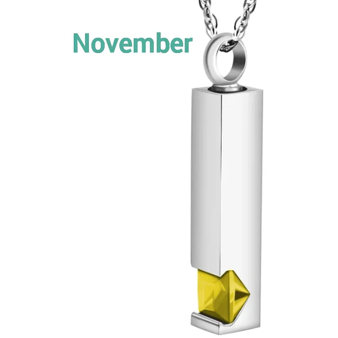 Birthstone Memorial Keepsake Necklace Urn Compartment Jewelry Stainless Steel 22 inch chain