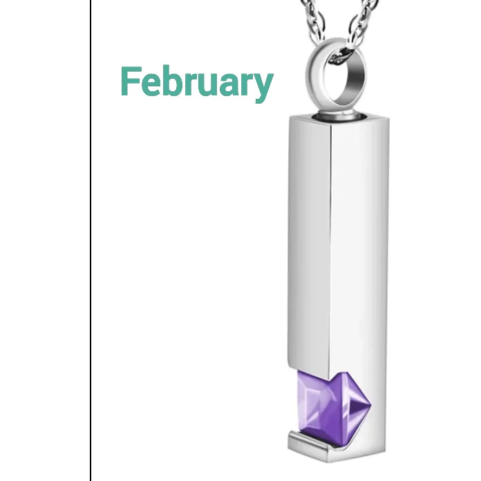 Birthstone Memorial Keepsake Necklace Urn Compartment Jewelry Stainless Steel 22 inch chain