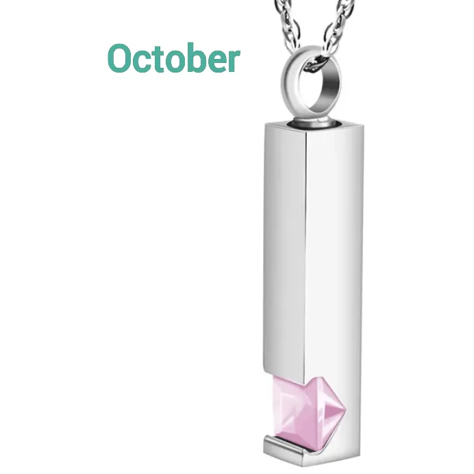Birthstone Memorial Keepsake Necklace Urn Compartment Jewelry Stainless Steel 22 inch chain