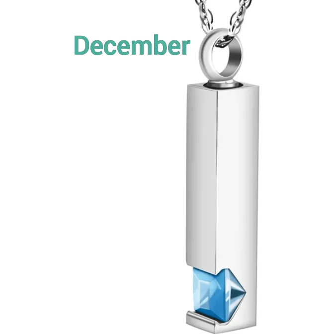 Birthstone Memorial Keepsake Necklace Urn Compartment Jewelry Stainless Steel 22 inch chain