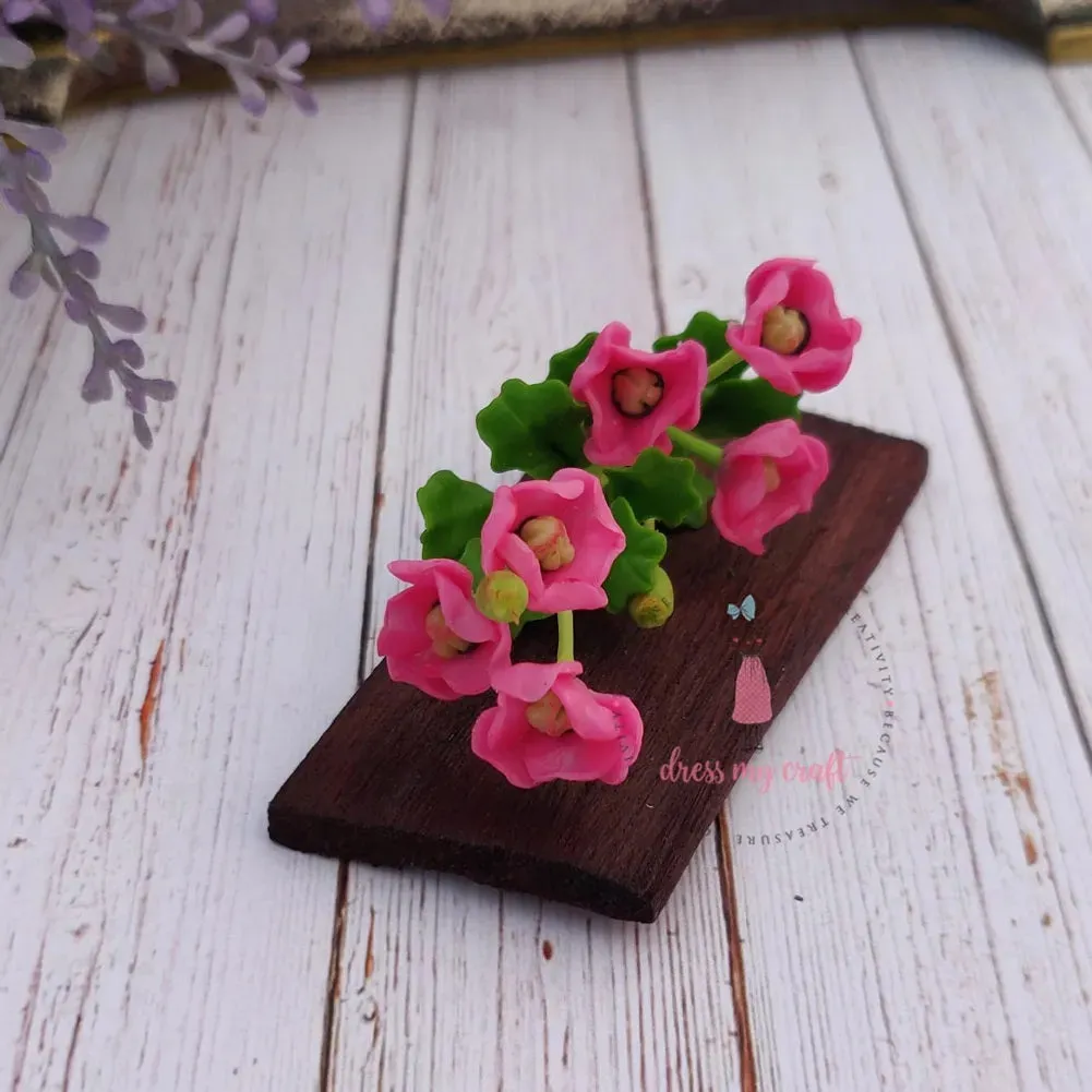Brunfelsia Latifolia - Pink