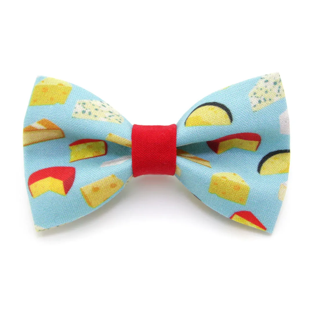 Cat Bow Tie - "Say Cheese" Bowtie / For Cats   Small Dogs / Removable (One Size)