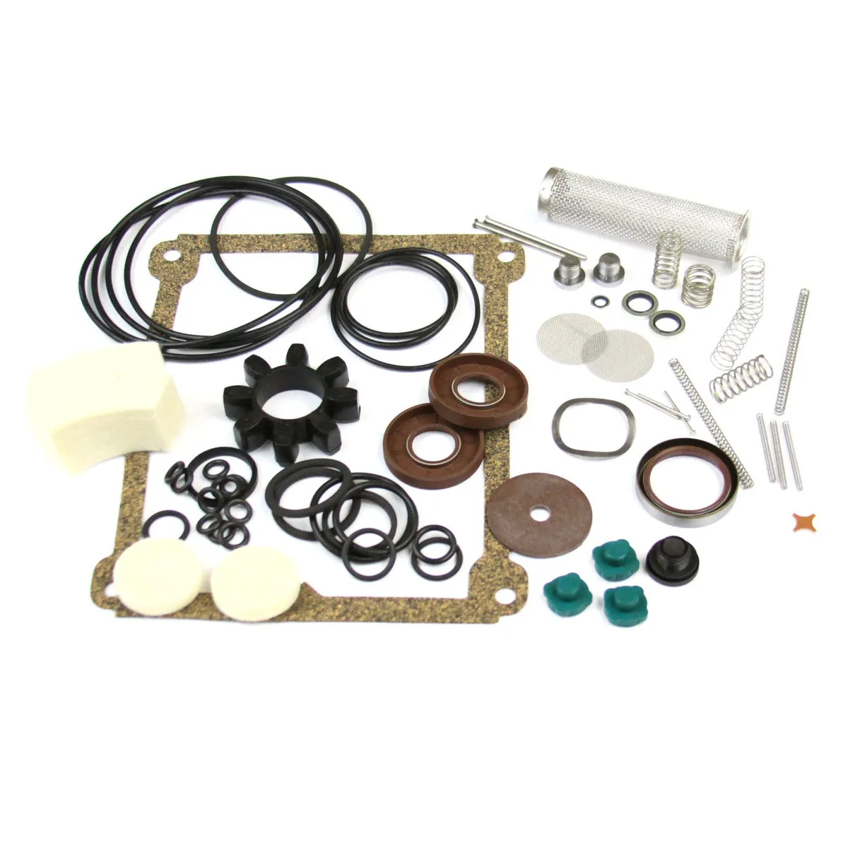 Clean & Overhaul Kit 34101131ED