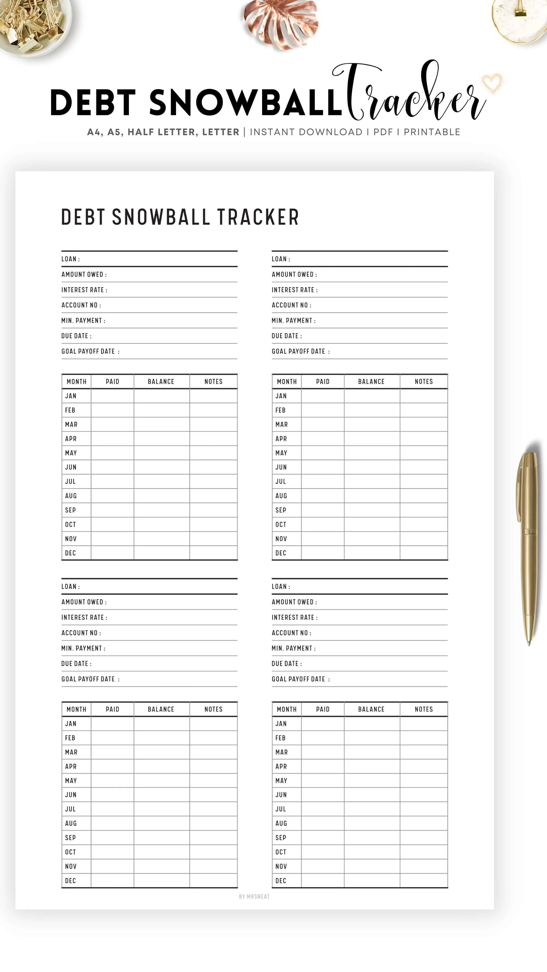 Debt Snowball Tracker - M055