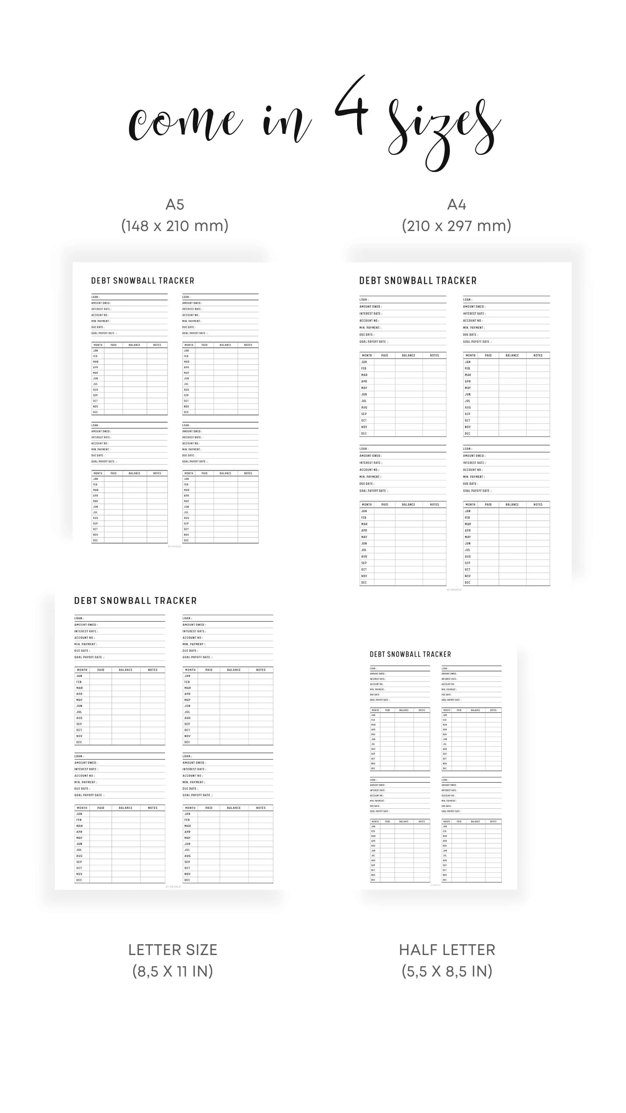 Debt Snowball Tracker - M055