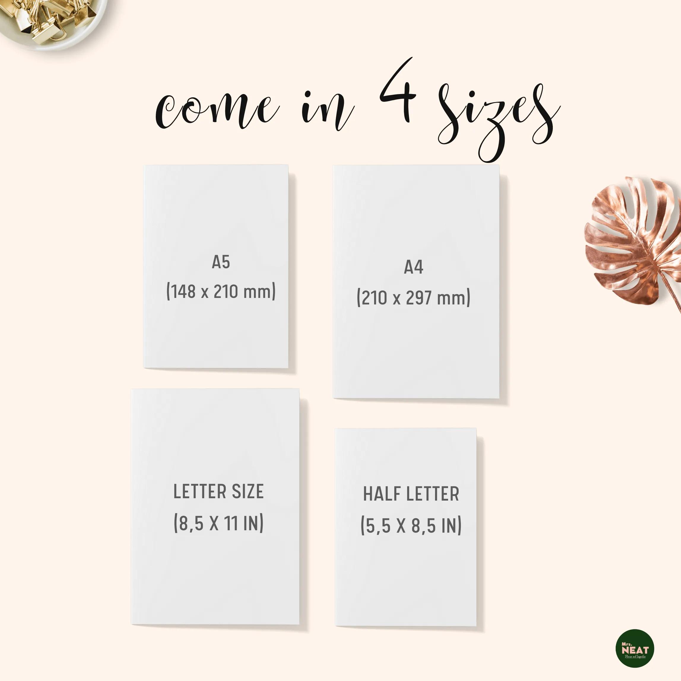 Income and Expense Tracker - M095