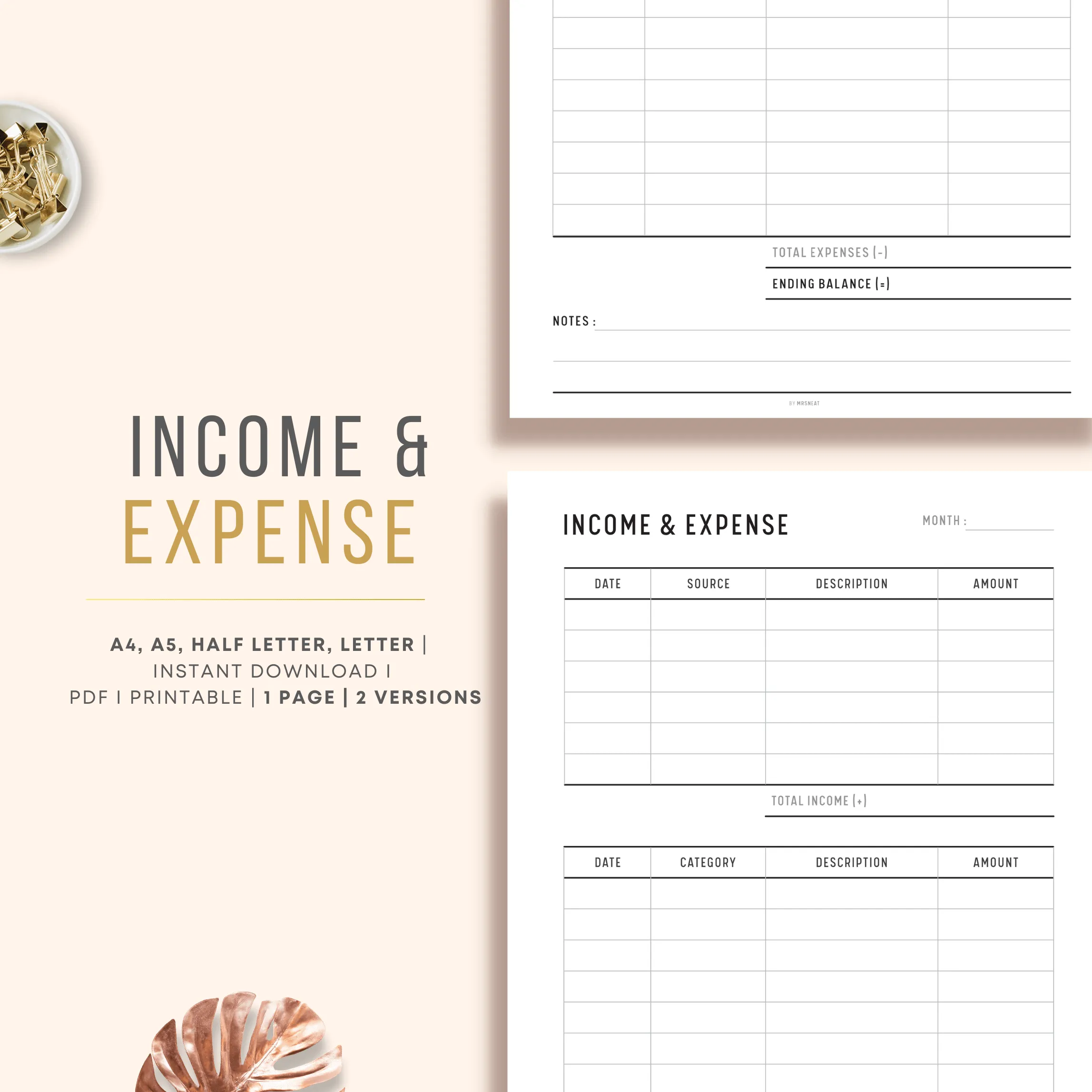 Income and Expense Tracker - M095