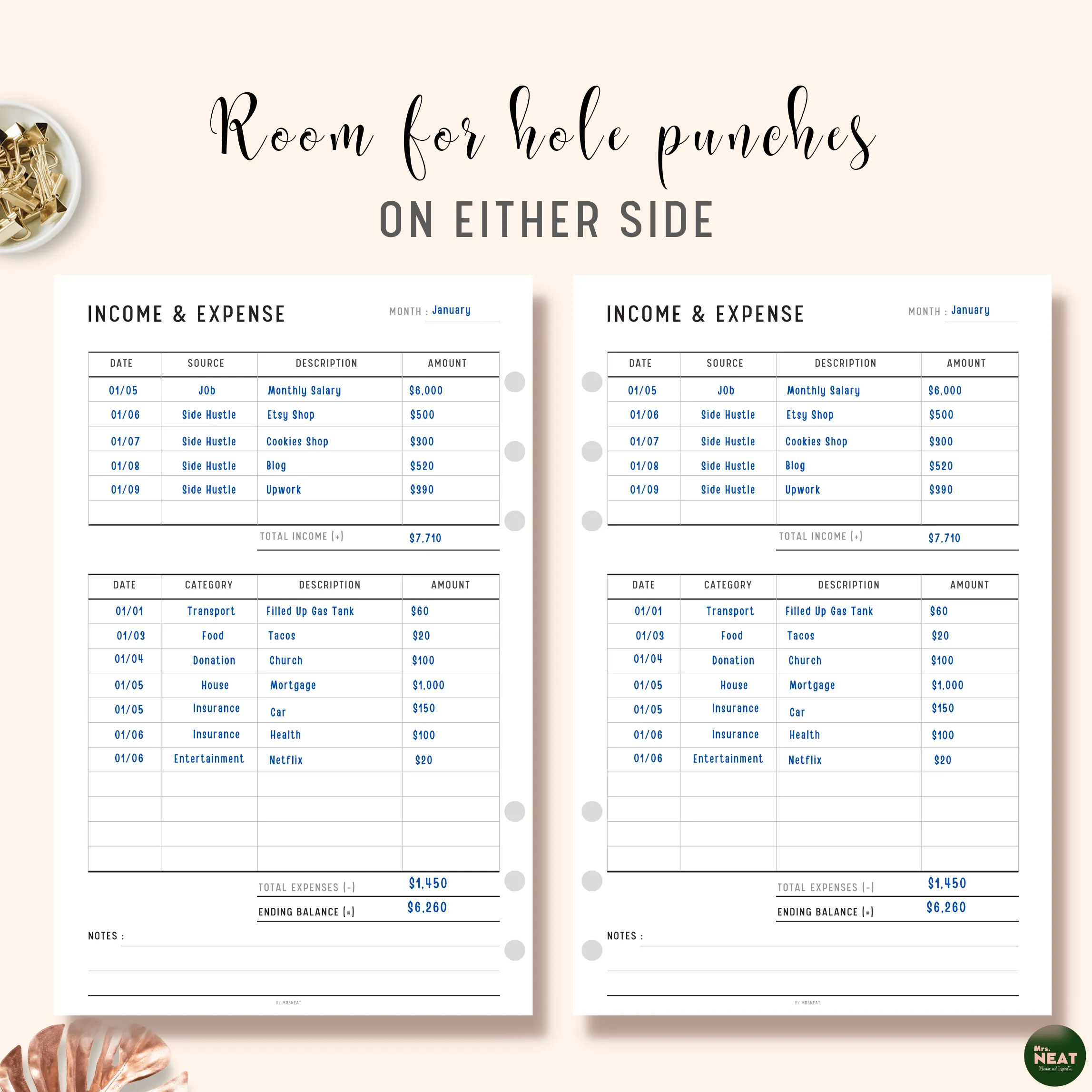 Income and Expense Tracker - M095