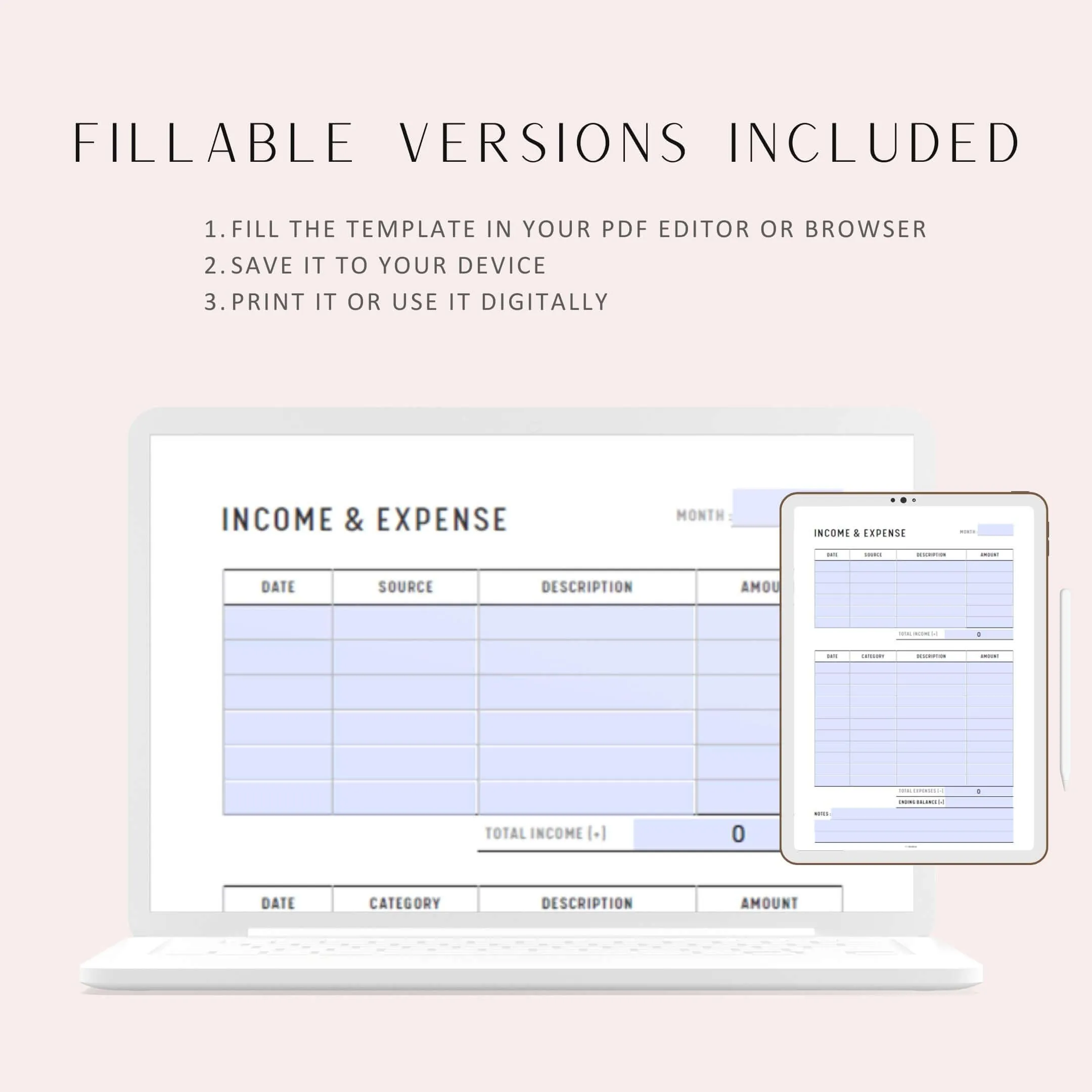 Income and Expense Tracker - M095