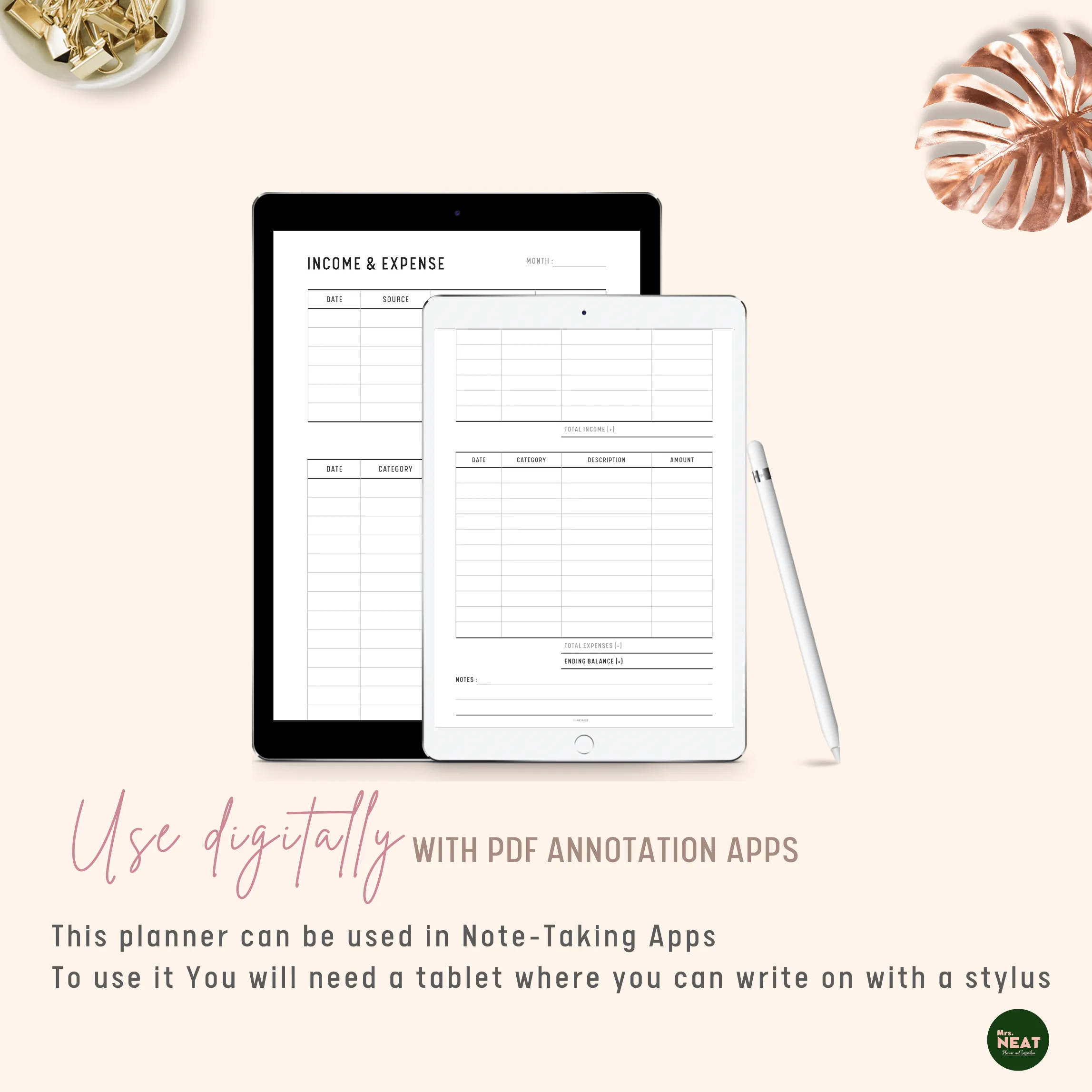 Income and Expense Tracker - M095