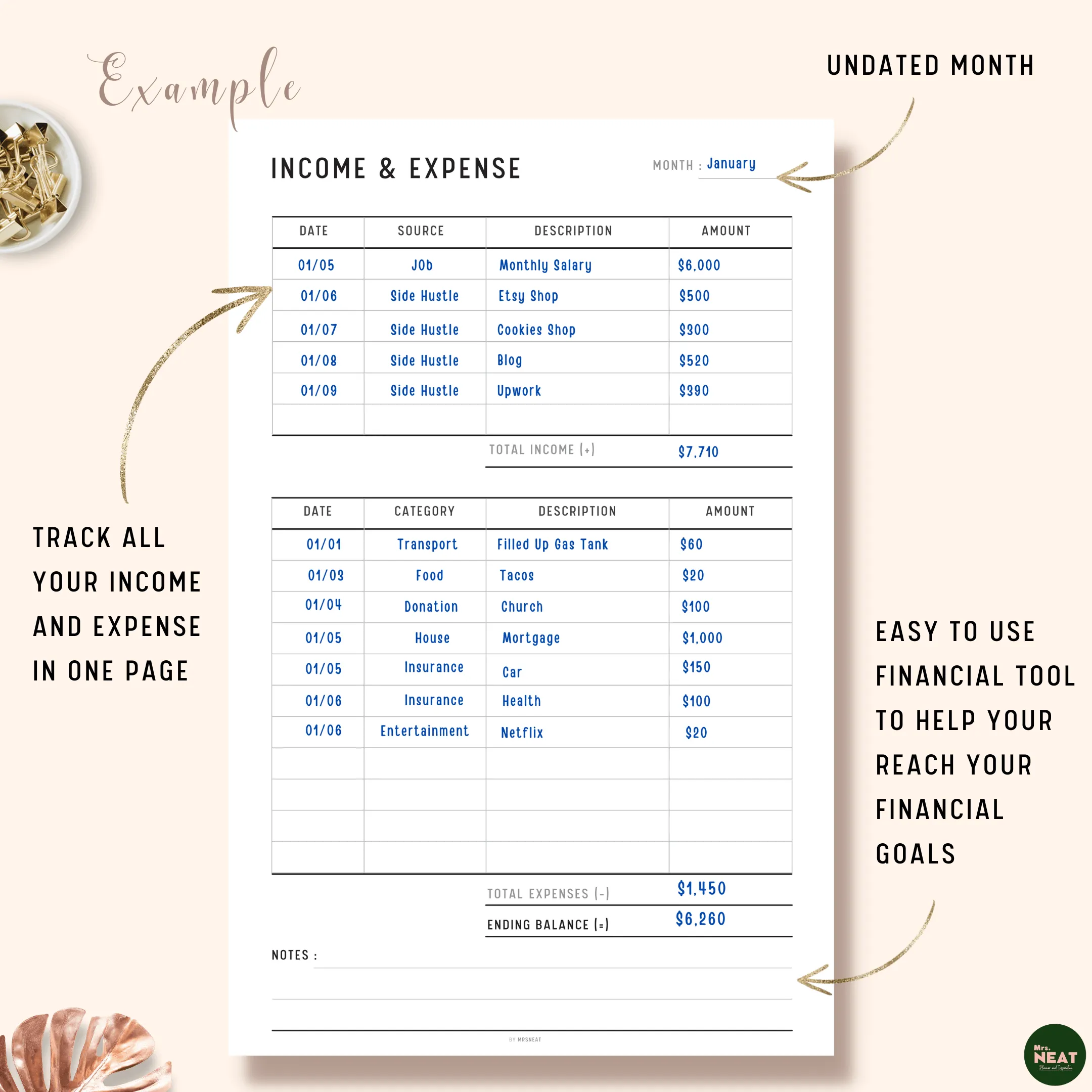 Income and Expense Tracker - M095