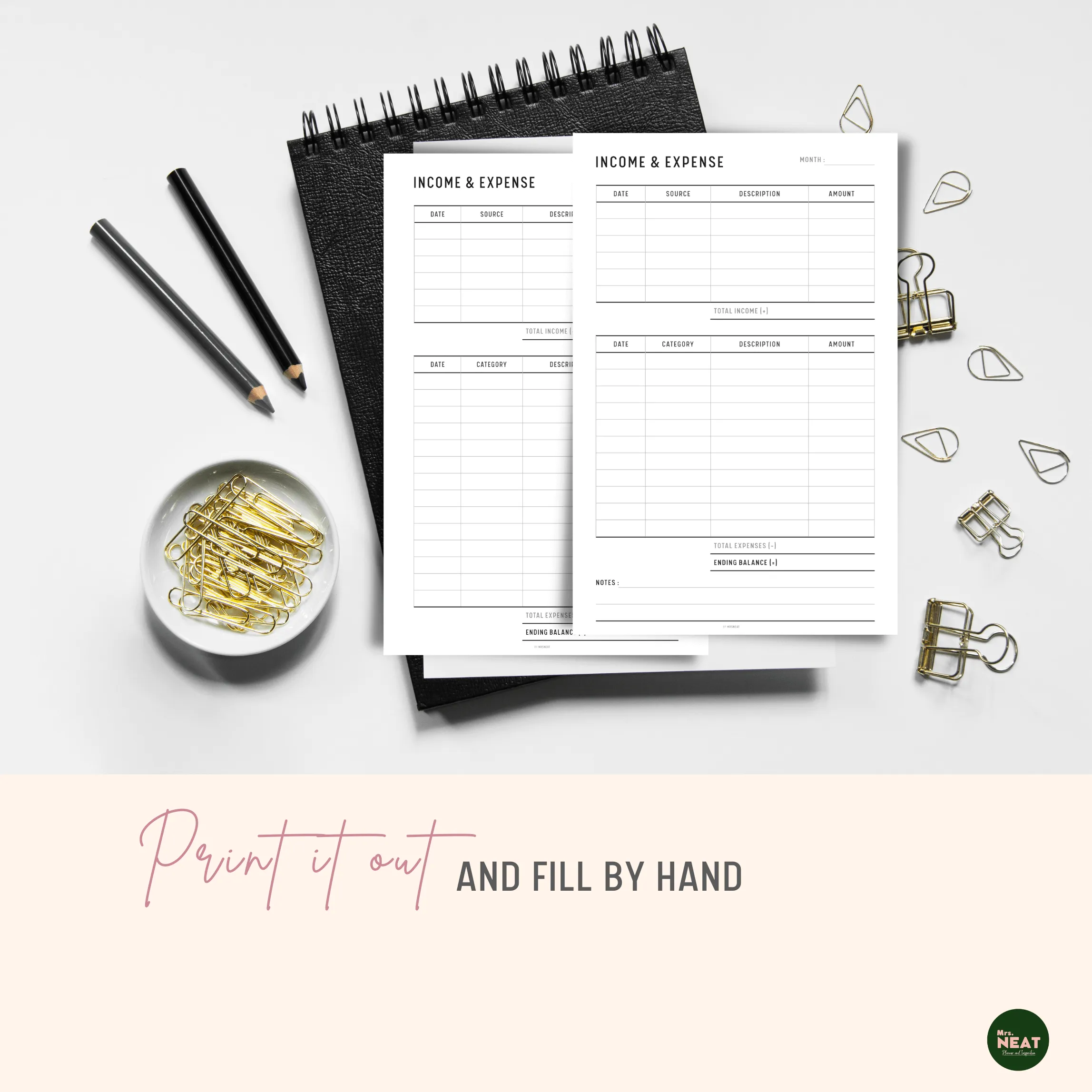 Income and Expense Tracker - M095