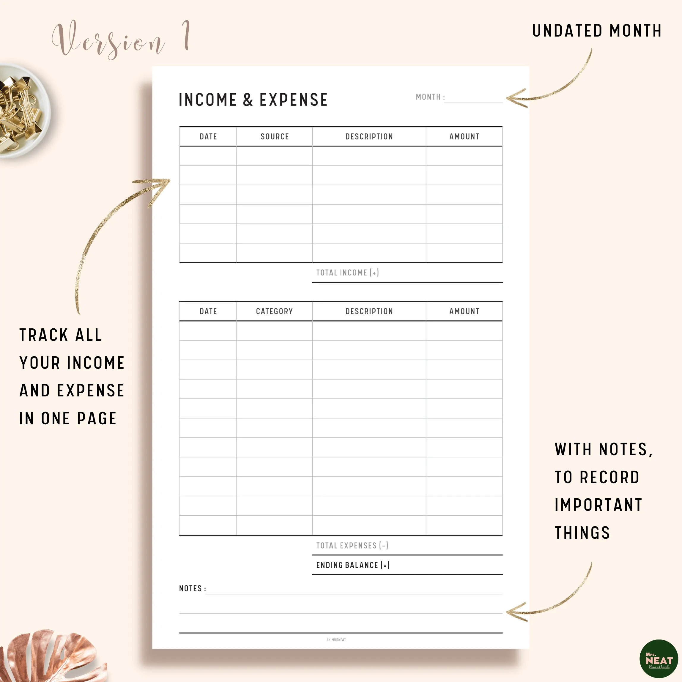 Income and Expense Tracker - M095
