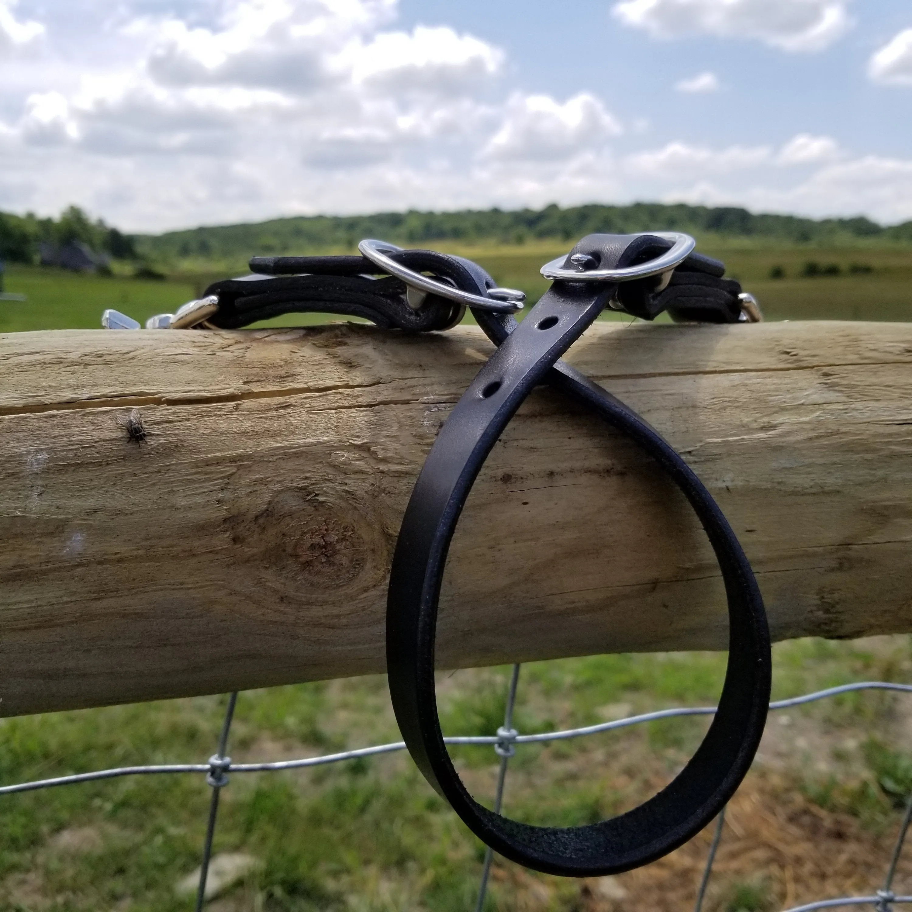 Leather Wither Strap