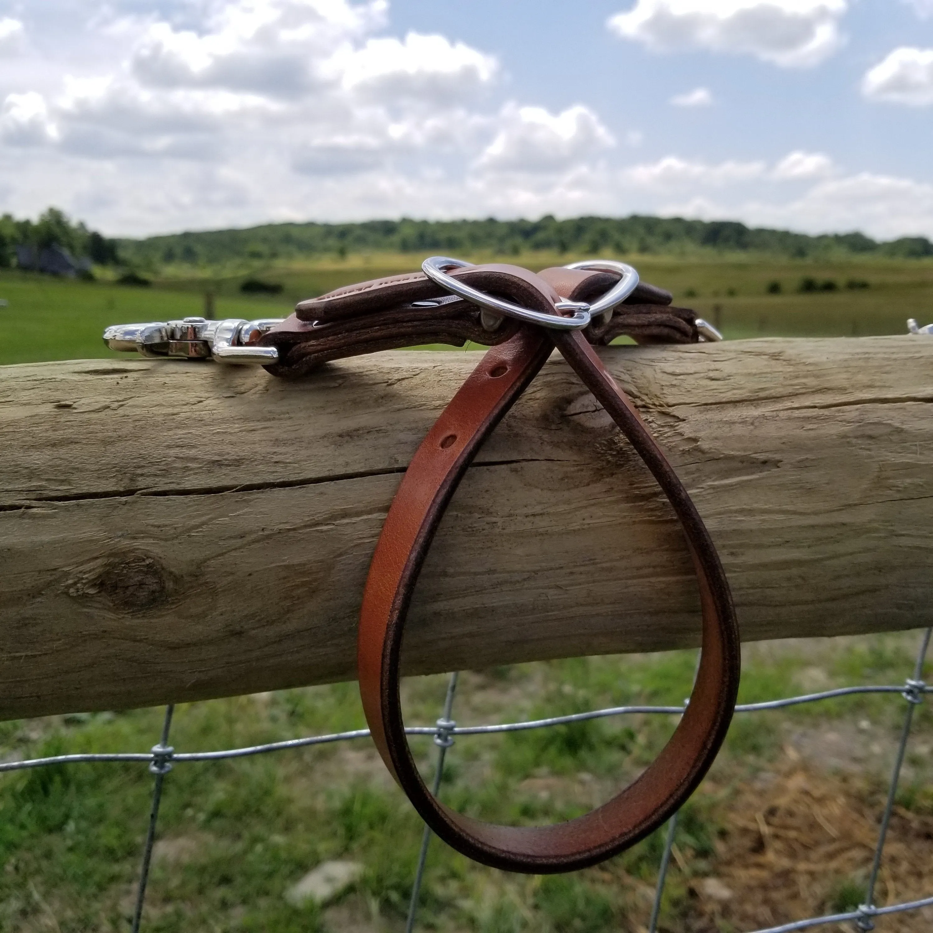 Leather Wither Strap