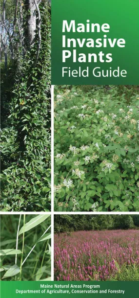 Maine Invasive Plants Field Guide