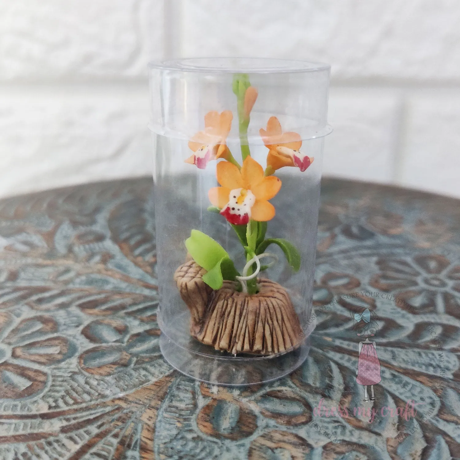 Miniature Boat Orchid Bunch - Orange With Pot & Box
