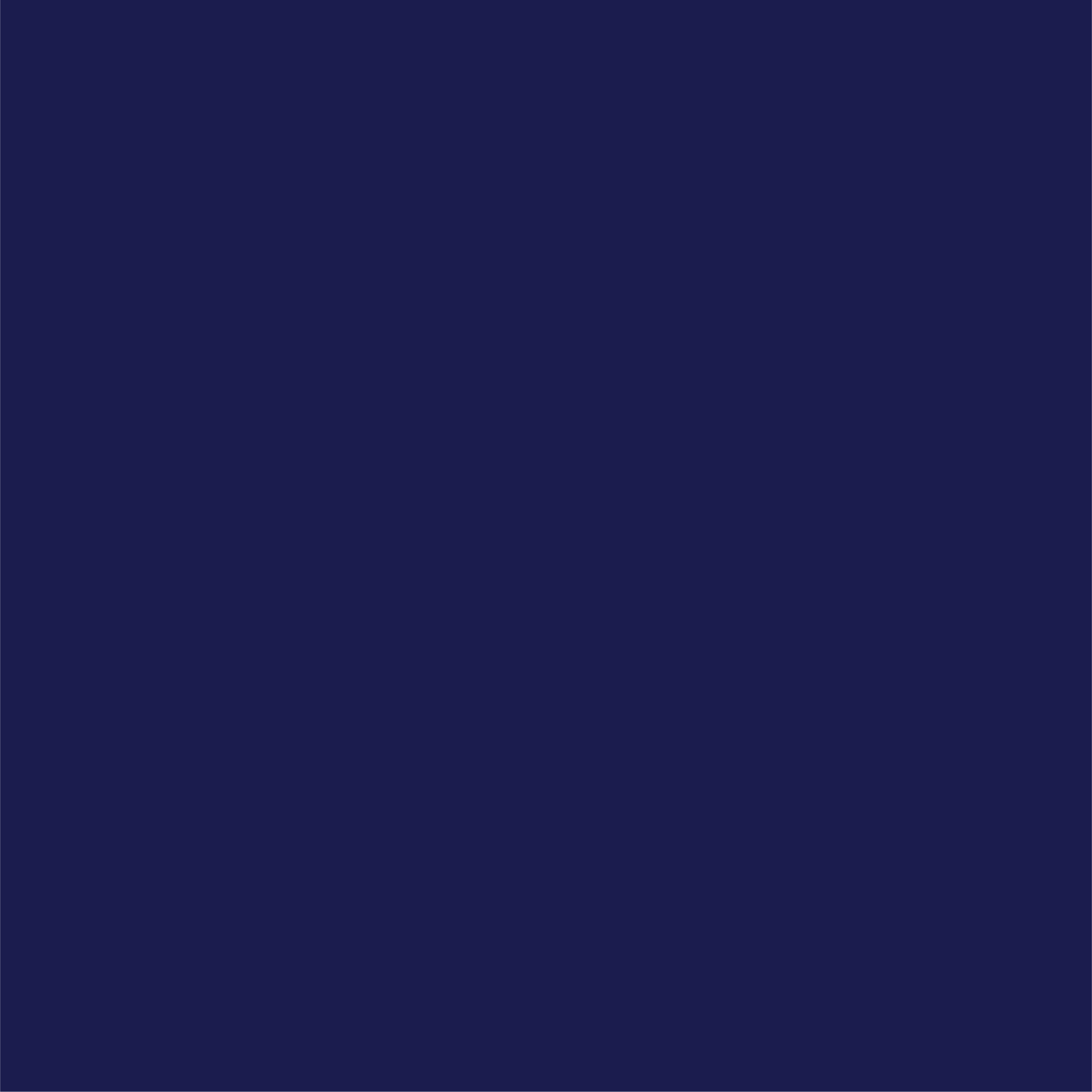Navy Classic Small Plates (10 per pack)