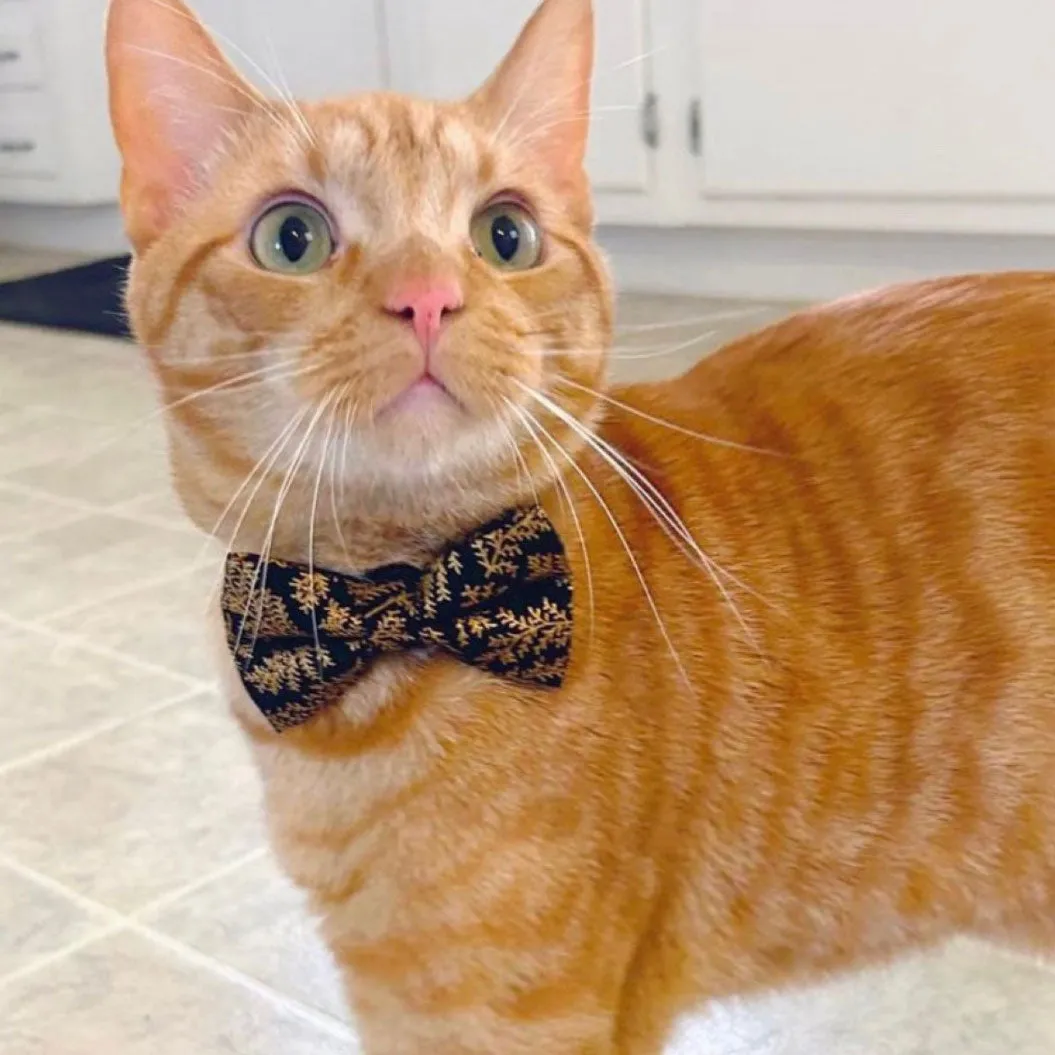 Pet Bow Tie - "Black Forest" - Gold Leaves on Black Cat Bow Tie / Christmas, Holiday, Wedding, New Year's / For Cats   Small Dogs (One Size)