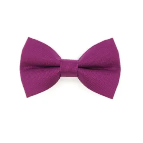 Pet Bow Tie - "Color Collection - Plum Purple" - Solid Color Purple Cat Bow Tie / Wedding Pet Bowtie / For Cats   Small Dogs (One Size)