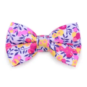 Pet Bow Tie - "Margeaux" - Liberty Of London® Neon Pink & Purple Floral Cat Bow / For Cats   Small Dogs (One Size)