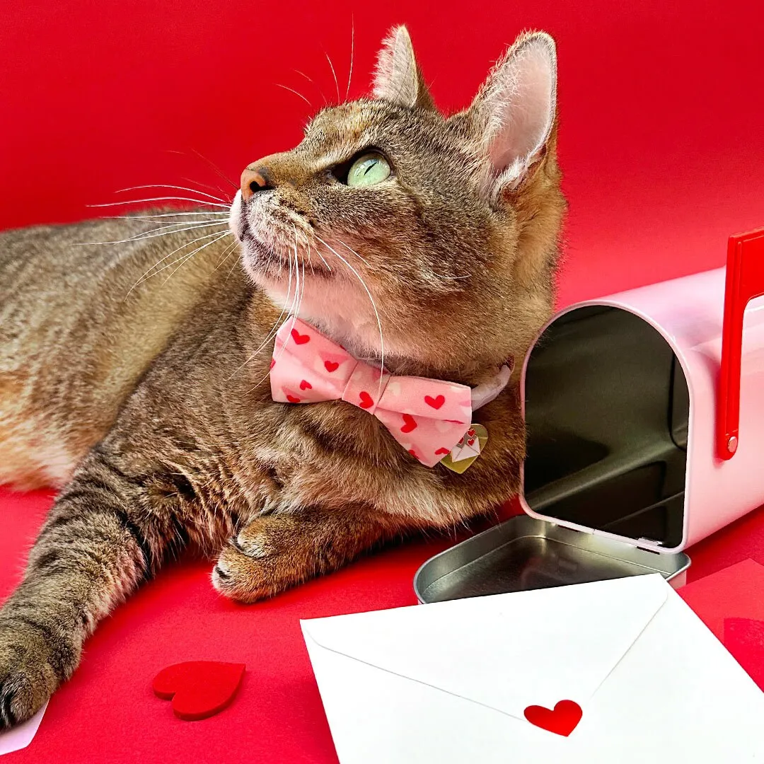Pet Bow Tie - "Sealed With A Kiss" - Pink Love Letter Cat Bow Tie / Valentine's Day, Heart Mail / For Cats   Small Dogs (One Size)