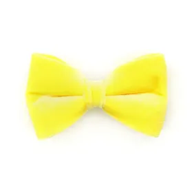 Pet Bow Tie - "Velvet - Lemon Yellow" - Light Yellow Velvet Bow Tie for Cat / For Cats   Small Dogs (One Size)