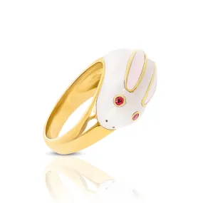 Robi Rabbit
