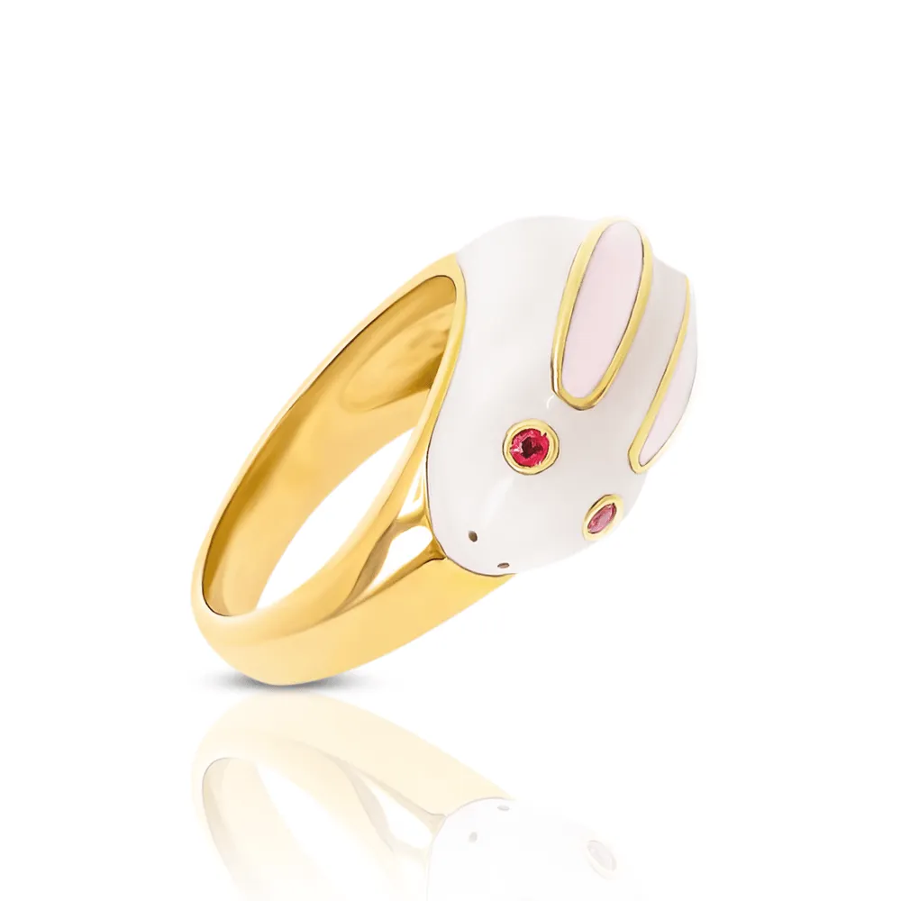 Robi Rabbit