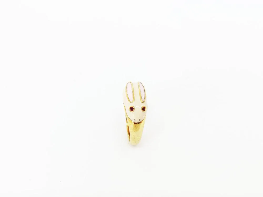 Robi Rabbit