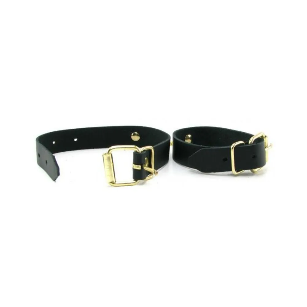 Spartacus Kink Kit