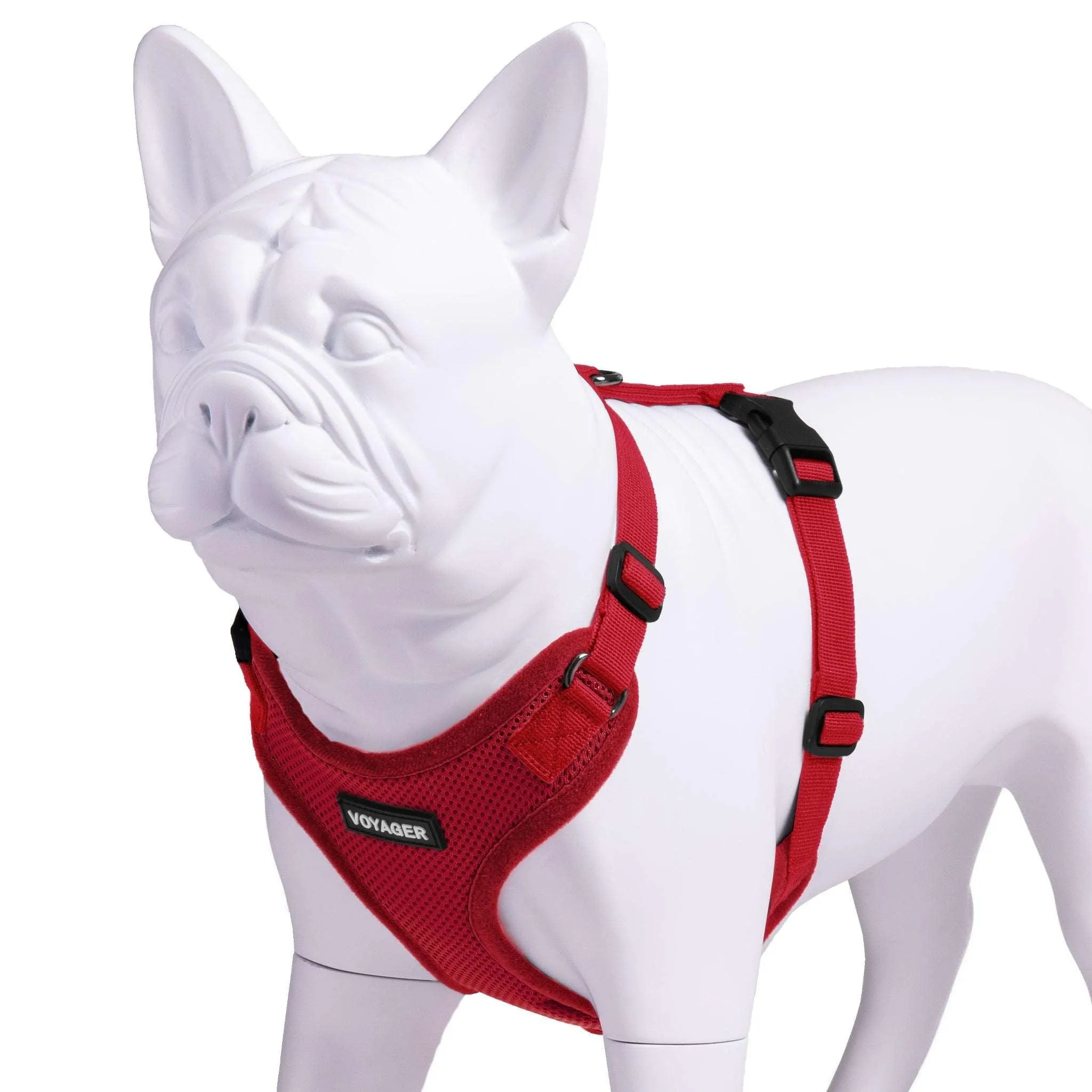 Valentine Step-In Lock Pet Harness