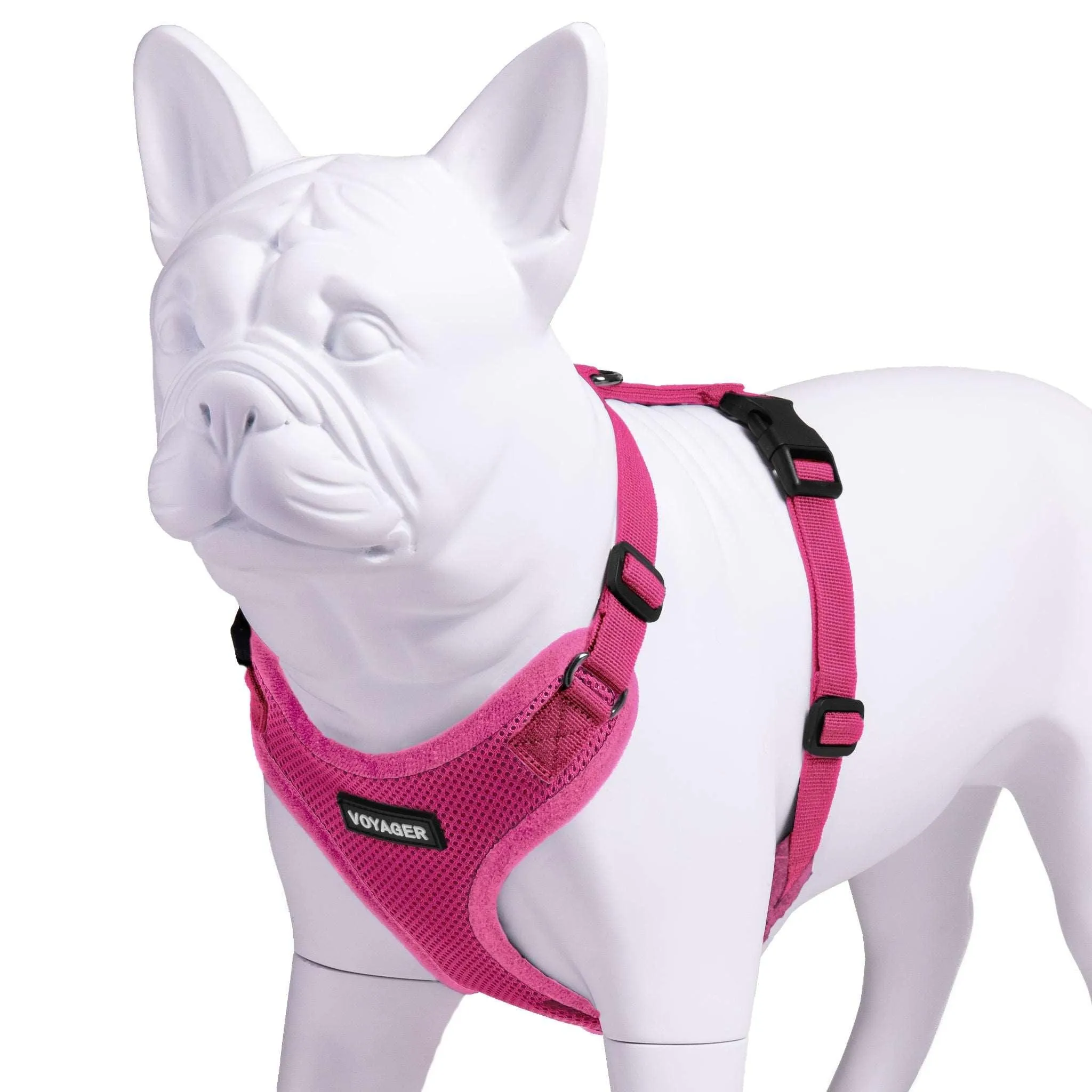 Valentine Step-In Lock Pet Harness