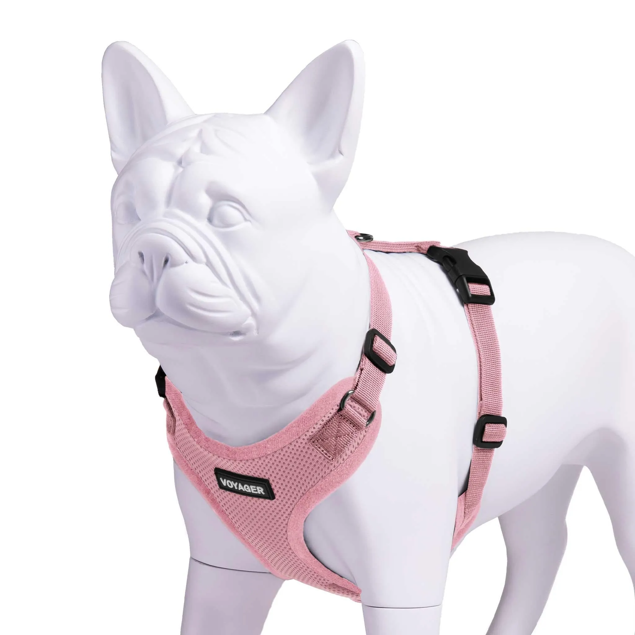 Valentine Step-In Lock Pet Harness